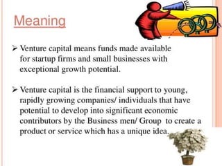 Venture capitalist and angel investors | PPTX