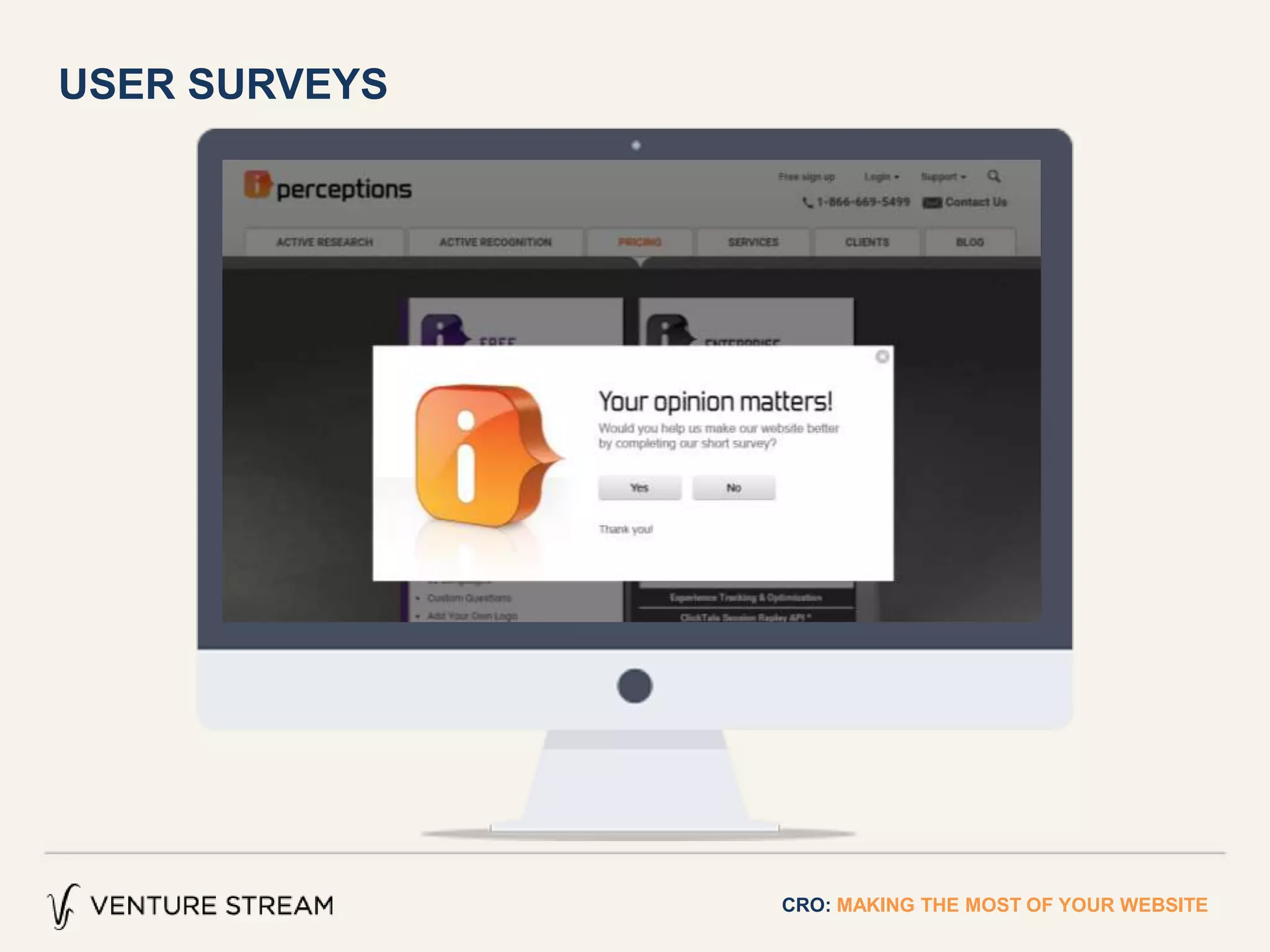 USER SURVEYS
CRO: MAKING THE MOST OF YOUR WEBSITE
 