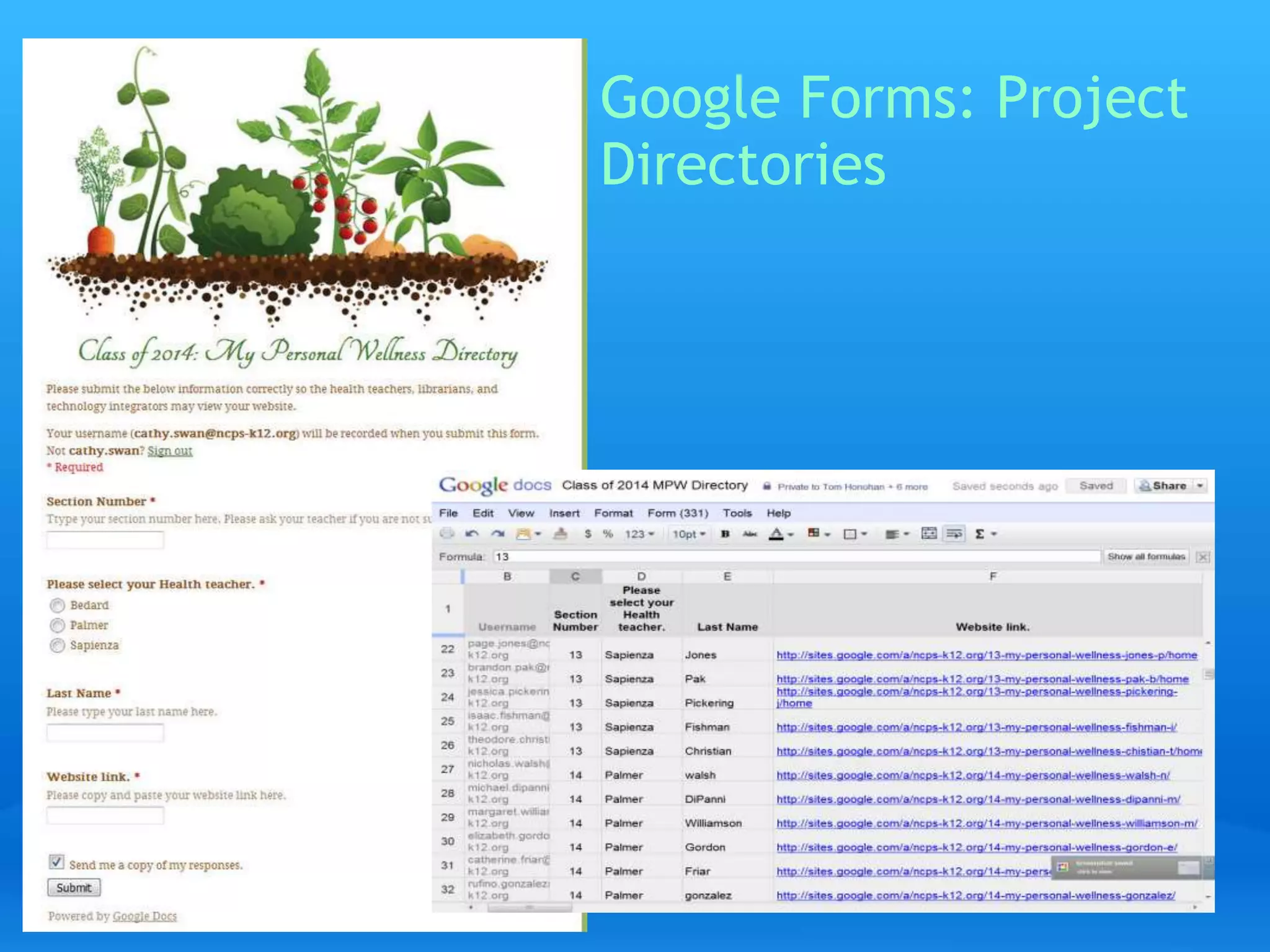 Google Forms: Project 
Directories 
 
