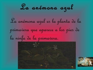 La anémona azul es la planta de la primavera que aparece a los pies de la ninfa de la primavera. La anémona azul 