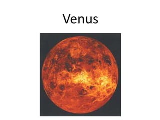 Venus
 