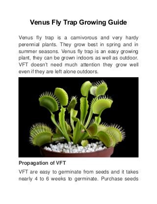 Venus Fly Trap Growing Guide
Venus   fly   trap   is   a   carnivorous   and   very   hardy
perennial plants. They grow best in spring and in
summer seasons. Venus fly trap is an easy growing
plant, they can be grown indoors as well as outdoor.
VFT doesn’t  need much attention they grow well
even if they are left alone outdoors.
Propagation of VFT
VFT are easy to germinate from seeds and it takes
nearly 4 to 6 weeks to germinate. Purchase seeds
 