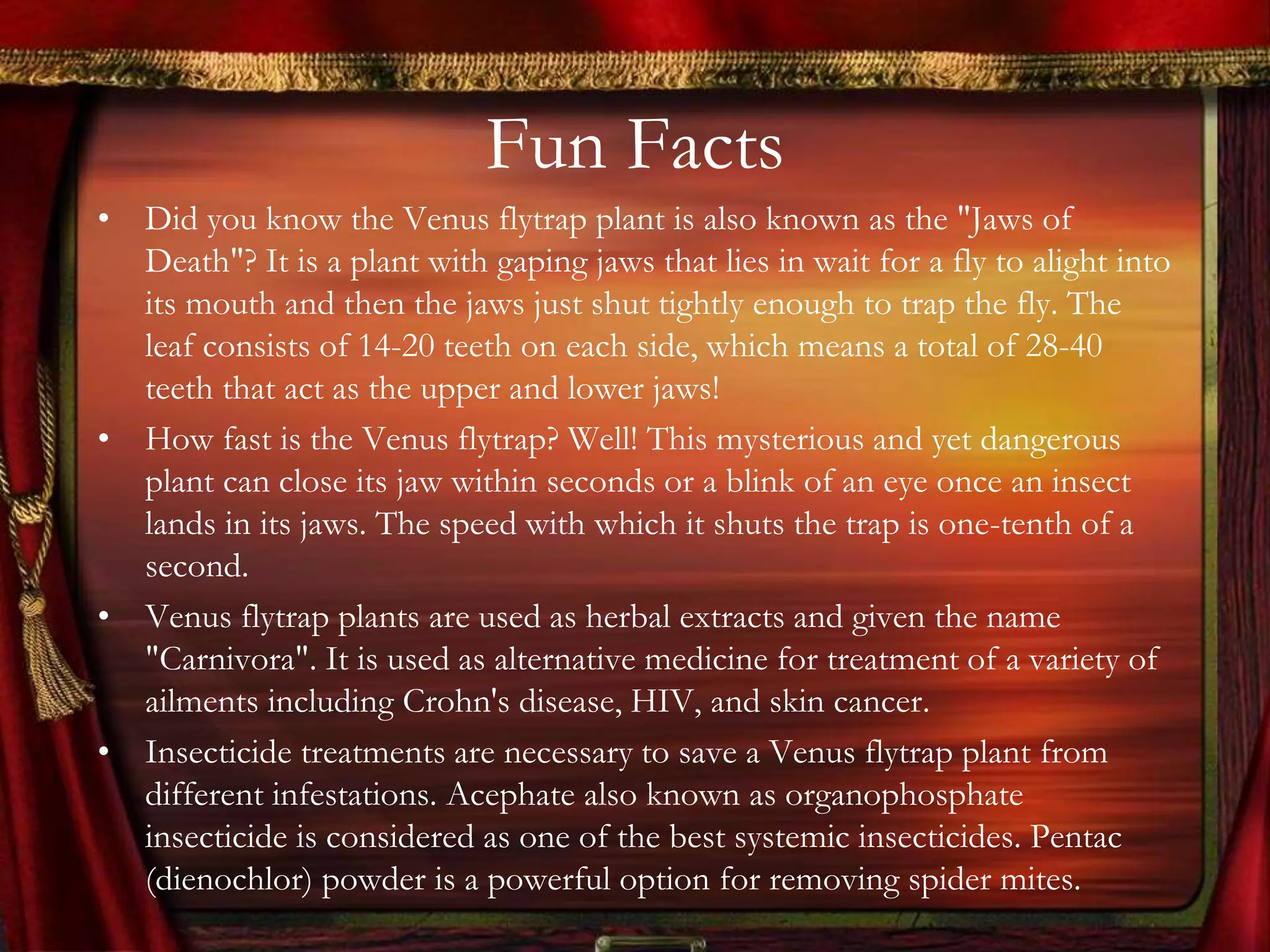Gallery Detail: Venus Fly Trap