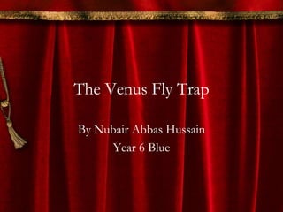 The Venus Fly Trap
By Nubair Abbas Hussain
Year 6 Blue
 