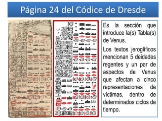 Página 24 del Códice de Dresde
Es la sección que
introduce la(s) Tabla(s)
de Venus.
Los textos jeroglíficos
mencionan 5 deidades
regentes y un par de
aspectos de Venus
que afectan a cinco
representaciones de
víctimas, dentro de
determinados ciclos de
tiempo.
 
