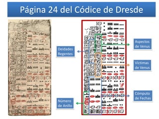 Página 24 del Códice de Dresde
Aspectos
de Venus
Víctimas
de Venus
Deidades
Regentes
Número
de Anillo
Cómputo
de Fechas
 