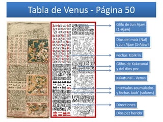 Tabla de Venus - Página 50
Dios del maíz (Nal)
y Jun Ajaw (1-Ajaw)
Kakatunal - Venus
Dios pez herido
Glifo de Jun Ajaw
(1-Ajaw)
Glifos de Kakatunal
y del dios pez
Intervalos acumulados
y fechas Jaab’ (solares)
Direcciones
Fechas Tzolk’in
 