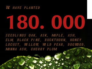 W hav e p l ant e d
 e




180. 000
s e e d l i ng s o ak, as k, map l e , as h,
e l m, b l ac k p i ne , b uc kt ho r n, ho ne y
l o c us t , wi l l o w, wi l d p e ar , d o g wo o d ,
manna as h, c he r r y p l um.
 