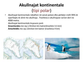 Akullnajat kontinentale 
(tipi polar) 
• Akullnajat kontinentale ndodhen në zonat polare dhe përbëjn rreth 99% të 
siperfaqës të zënë me akullnaja . Trashësia e akullnajave varion deri ne 
4000 metra. 
Akullnajat kontinentale kryesore janë: 
Groenlandes me sip.1.9milion km katror(trashësi 3.5 km) 
Antarktidës me sip.13milion km katror (trashësia 4 km) 
 