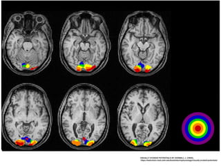 VISUALLY EVOKED POTENTIALS BY DONNELL J. CREEL,
https://webvision.med.utah.edu/book/electrophysiology/visually-evoked-potentials/
 