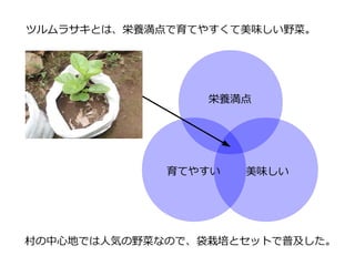栄養満点
育てやすい 美味しい
ツルムラサキとは、栄養満点で育てやすくて美味しい野菜。
村の中心地では人気の野菜なので、袋栽培とセットで普及した。
 