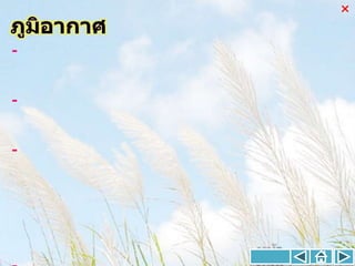 



-


-


-
 