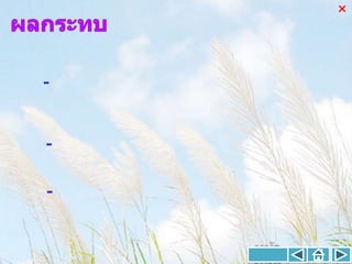 




-


-


-
 