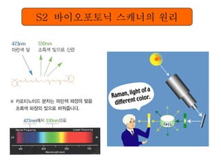 S2  바이오포토닉 스캐너의 원리 