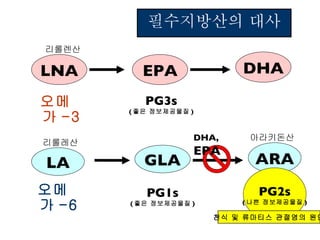 필수지방산의 대사 오메가 -3 LNA EPA DHA LA GLA 오메가 -6 ARA PG3s ( 좋은 정보제공물질 ) PG1s ( 좋은 정보제공물질 ) PG2s ( 나쁜 정보제공물질 ) DHA,  EPA 천식 및 류마티스 관절염의 원인 리롤레산 리롤렌산 아라키돈산 