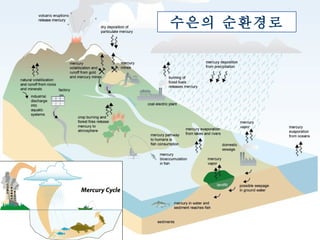 수은의 순환경로 