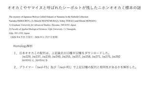 The mystery of Japanese Wolves Called Ookami or Yamainu in the Siebold Collection
Naotaka ISHIGURO1), 2), Shuichi MATSUMURA2), Yohey TERAI1) and Hitomi HONGO1)
1) Graduate University for Advanced Studies, Hayama, 240-0193, Japan
2) Faculty of Applied Biological Sciences, Gifu University, 1-1 Yanagido,
Gifu, 501-1193, Japan
（2020 年8 月25 日受付・2020 年11 月27 日受理）
オオカミやヤマイヌと呼ばれたシーボルトが残したニホンオオカミ標本の謎
Homology解析
１．日本オオカミの配列は、上記論文の13種中12種をダウンロードした。
Jw229, Jw237, Jw239, Jw240, Jw255, Jw257, Jw258, Jw271, Jw275, Jw292
Jentinc c, Jentinc b
２．プライマー「Jwol-F5」及び「Jwol-R1」で上記12種の配列と相同性があるかを解析した。
 