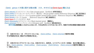 日本オオカミの生存の痕跡を求めて Ver3