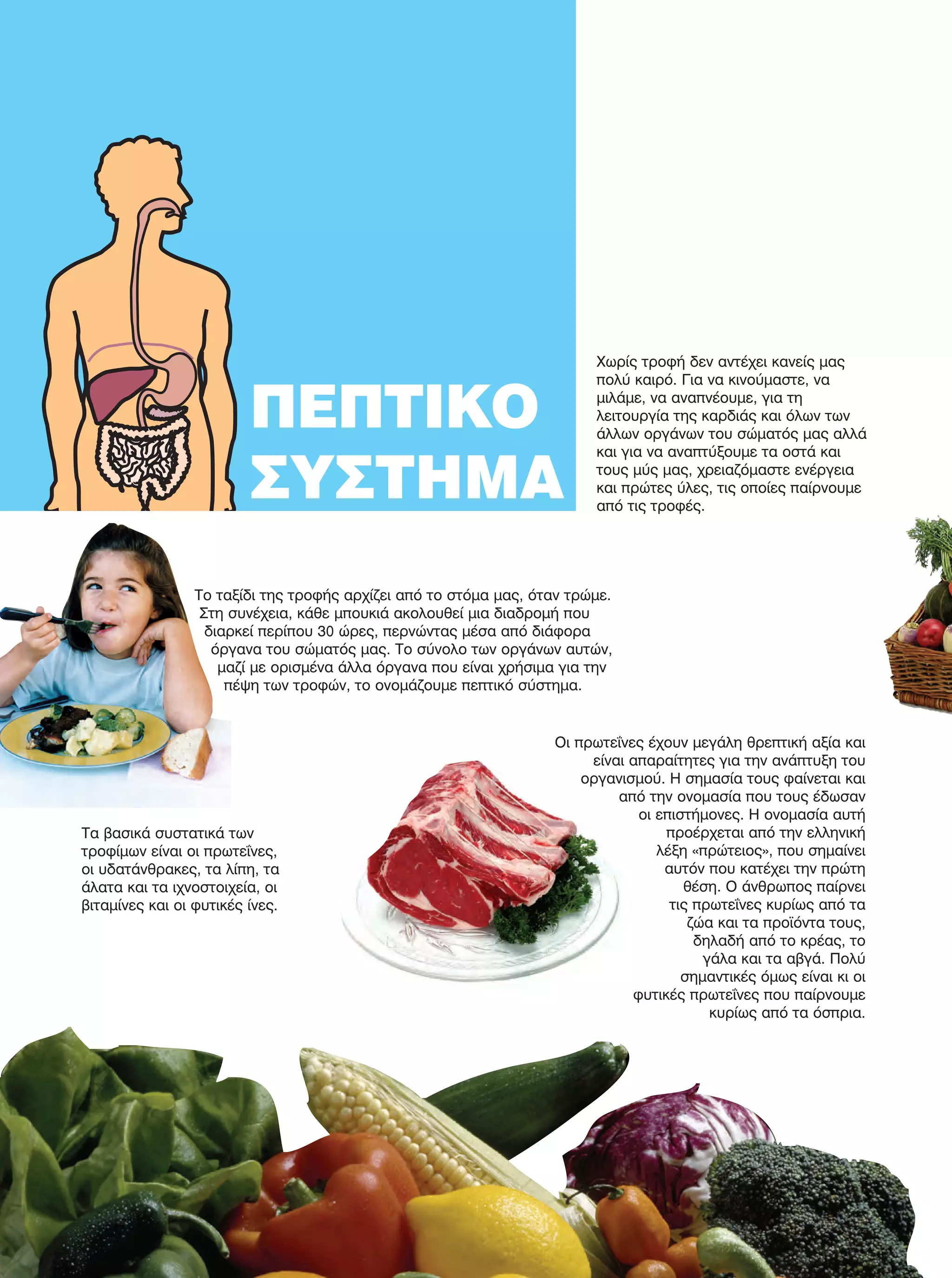 Το ταξίδι της τροφής αρχίζει από το στόμα μας, όταν τρώμε.
Στη συνέχεια, κάθε μπουκιά ακολουθεί μια διαδρομή που
διαρκεί περίπου 30 ώρες, περνώντας μέσα από διάφορα
όργανα του σώματός μας. Το σύνολο των οργάνων αυτών,
μαζί με ορισμένα άλλα όργανα που είναι χρήσιμα για την
πέψη των τροφών, το ονομάζουμε πεπτικό σύστημα.
Χωρίς τροφή δεν αντέχει κανείς μας
πολύ καιρό. Για να κινούμαστε, να
μιλάμε, να αναπνέουμε, για τη
λειτουργία της καρδιάς και όλων των
άλλων οργάνων του σώματός μας αλλά
και για να αναπτύξουμε τα οστά και
τους μύς μας, χρειαζόμαστε ενέργεια
και πρώτες ύλες, τις οποίες παίρνουμε
από τις τροφές.
Οι πρωτεΐνες έχουν μεγάλη θρεπτική αξία και
είναι απαραίτητες για την ανάπτυξη του
οργανισμού. Η σημασία τους φαίνεται και
από την ονομασία που τους έδωσαν
οι επιστήμονες. Η ονομασία αυτή
προέρχεται από την ελληνική
λέξη «πρώτειος», που σημαίνει
αυτόν που κατέχει την πρώτη
θέση. Ο άνθρωπος παίρνει
τις πρωτεΐνες κυρίως από τα
ζώα και τα προϊόντα τους,
δηλαδή από το κρέας, το
γάλα και τα αβγά. Πολύ
σημαντικές όμως είναι κι οι
φυτικές πρωτεΐνες που παίρνουμε
κυρίως από τα όσπρια.
Τα βασικά συστατικά των
τροφίμων είναι οι πρωτεΐνες,
οι υδατάνθρακες, τα λίπη, τα
άλατα και τα ιχνοστοιχεία, οι
βιταμίνες και οι φυτικές ίνες.
ΠΕΠΤΙΚΟ
ΣΥΣΤΗΜΑ
FYSIKA E DIMOT MATHITI.indb 32 2/12/13 4:32 PM
 