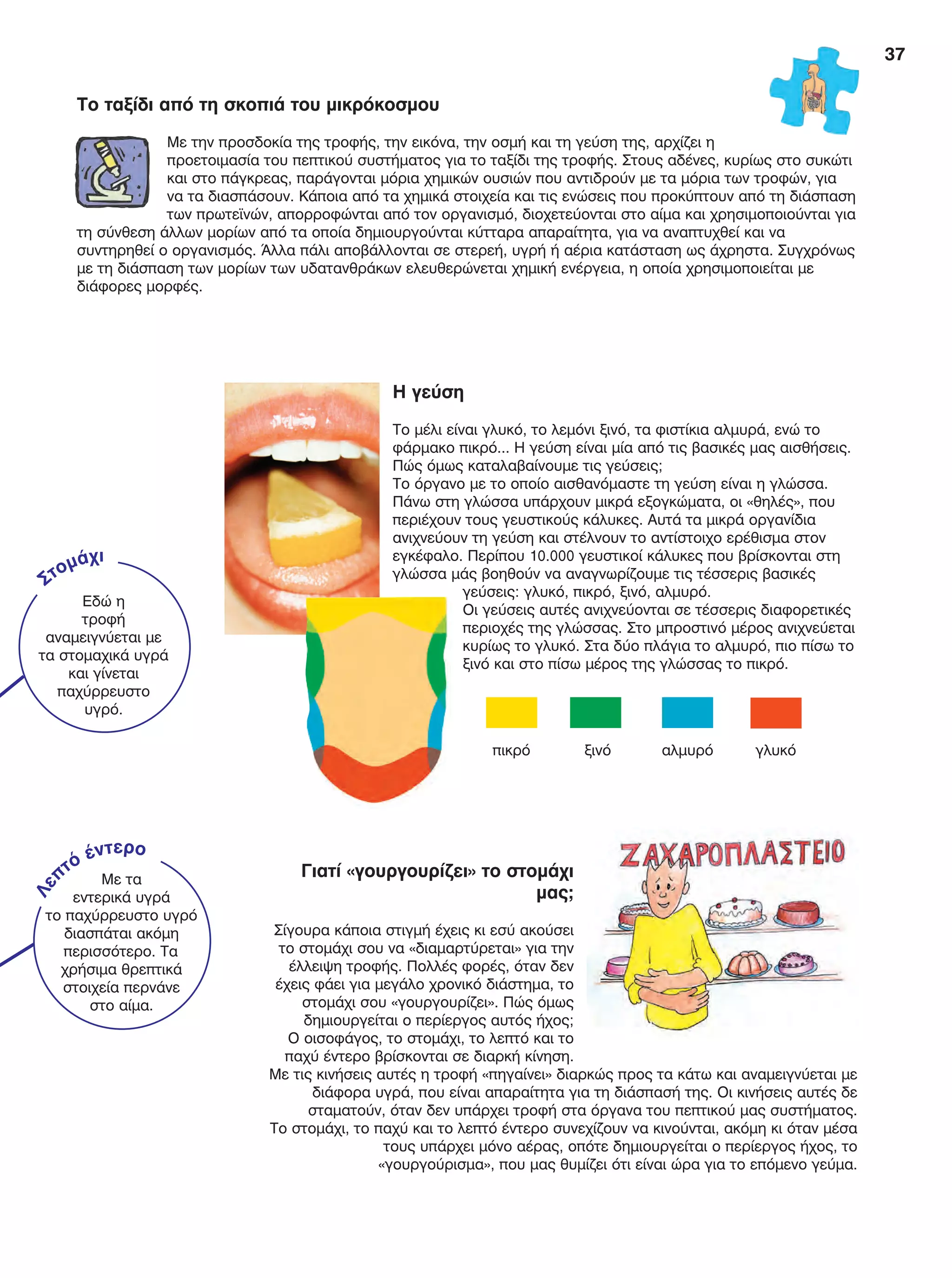 37
Η γεύση
Το μέλι είναι γλυκό, το λεμόνι ξινό, τα φιστίκια αλμυρά, ενώ το
φάρμακο πικρό... Η γεύση είναι μία από τις βασικές μας αισθήσεις.
Πώς όμως καταλαβαίνουμε τις γεύσεις;
Το όργανο με το οποίο αισθανόμαστε τη γεύση είναι η γλώσσα.
Πάνω στη γλώσσα υπάρχουν μικρά εξογκώματα, οι «θηλές», που
περιέχουν τους γευστικούς κάλυκες. Αυτά τα μικρά οργανίδια
ανιχνεύουν τη γεύση και στέλνουν το αντίστοιχο ερέθισμα στον
εγκέφαλο. Περίπου 10.000 γευστικοί κάλυκες που βρίσκονται στη
γλώσσα μάς βοηθούν να αναγνωρίζουμε τις τέσσερις βασικές
γεύσεις: γλυκό, πικρό, ξινό, αλμυρό.
Οι γεύσεις αυτές ανιχνεύονται σε τέσσερις διαφορετικές
περιοχές της γλώσσας. Στο μπροστινό μέρος ανιχνεύεται
κυρίως το γλυκό. Στα δύο πλάγια το αλμυρό, πιο πίσω το
ξινό και στο πίσω μέρος της γλώσσας το πικρό.
Γιατί «γουργουρίζει» το στομάχι
μας;
Σίγουρα κάποια στιγμή έχεις κι εσύ ακούσει
το στομάχι σου να «διαμαρτύρεται» για την
έλλειψη τροφής. Πολλές φορές, όταν δεν
έχεις φάει για μεγάλο χρονικό διάστημα, το
στομάχι σου «γουργουρίζει». Πώς όμως
δημιουργείται ο περίεργος αυτός ήχος;
Ο οισοφάγος, το στομάχι, το λεπτό και το
παχύ έντερο βρίσκονται σε διαρκή κίνηση.
Με τις κινήσεις αυτές η τροφή «πηγαίνει» διαρκώς προς τα κάτω και αναμειγνύεται με
διάφορα υγρά, που είναι απαραίτητα για τη διάσπασή της. Οι κινήσεις αυτές δε
σταματούν, όταν δεν υπάρχει τροφή στα όργανα του πεπτικού μας συστήματος.
Το στομάχι, το παχύ και το λεπτό έντερο συνεχίζουν να κινούνται, ακόμη κι όταν μέσα
τους υπάρχει μόνο αέρας, οπότε δημιουργείται ο περίεργος ήχος, το
«γουργούρισμα», που μας θυμίζει ότι είναι ώρα για το επόμενο γεύμα.
πικρό	 ξινό	 αλμυρό	 γλυκό
ι
Με τα
εντερικά υγρά
το παχύρρευστο υγρό
διασπάται ακόμη
περισσότερο. Τα
χρήσιμα θρεπτικά
στοιχεία περνάνε
στο αίμα.
Εδώ η
τροφή
αναμειγνύεται με
τα στομαχικά υγρά
και γίνεται
παχύρρευστο
υγρό.
Στομάχι
Λε
πτό έντερο
Το ταξίδι από τη σκοπιά του μικρόκοσμου
Με την προσδοκία της τροφής, την εικόνα, την οσμή και τη γεύση της, αρχίζει η
προετοιμασία του πεπτικού συστήματος για το ταξίδι της τροφής. Στους αδένες, κυρίως στο συκώτι
και στο πάγκρεας, παράγονται μόρια χημικών ουσιών που αντιδρούν με τα μόρια των τροφών, για
να τα διασπάσουν. Κάποια από τα χημικά στοιχεία και τις ενώσεις που προκύπτουν από τη διάσπαση
των πρωτεϊνών, απορροφώνται από τον οργανισμό, διοχετεύονται στο αίμα και χρησιμοποιούνται για
τη σύνθεση άλλων μορίων από τα οποία δημιουργούνται κύτταρα απαραίτητα, για να αναπτυχθεί και να
συντηρηθεί ο οργανισμός. Άλλα πάλι αποβάλλονται σε στερεή, υγρή ή αέρια κατάσταση ως άχρηστα. Συγχρόνως
με τη διάσπαση των μορίων των υδατανθράκων ελευθερώνεται χημική ενέργεια, η οποία χρησιμοποιείται με
διάφορες μορφές.
FYSIKA E DIMOT MATHITI.indb 37 2/12/13 4:32 PM
 