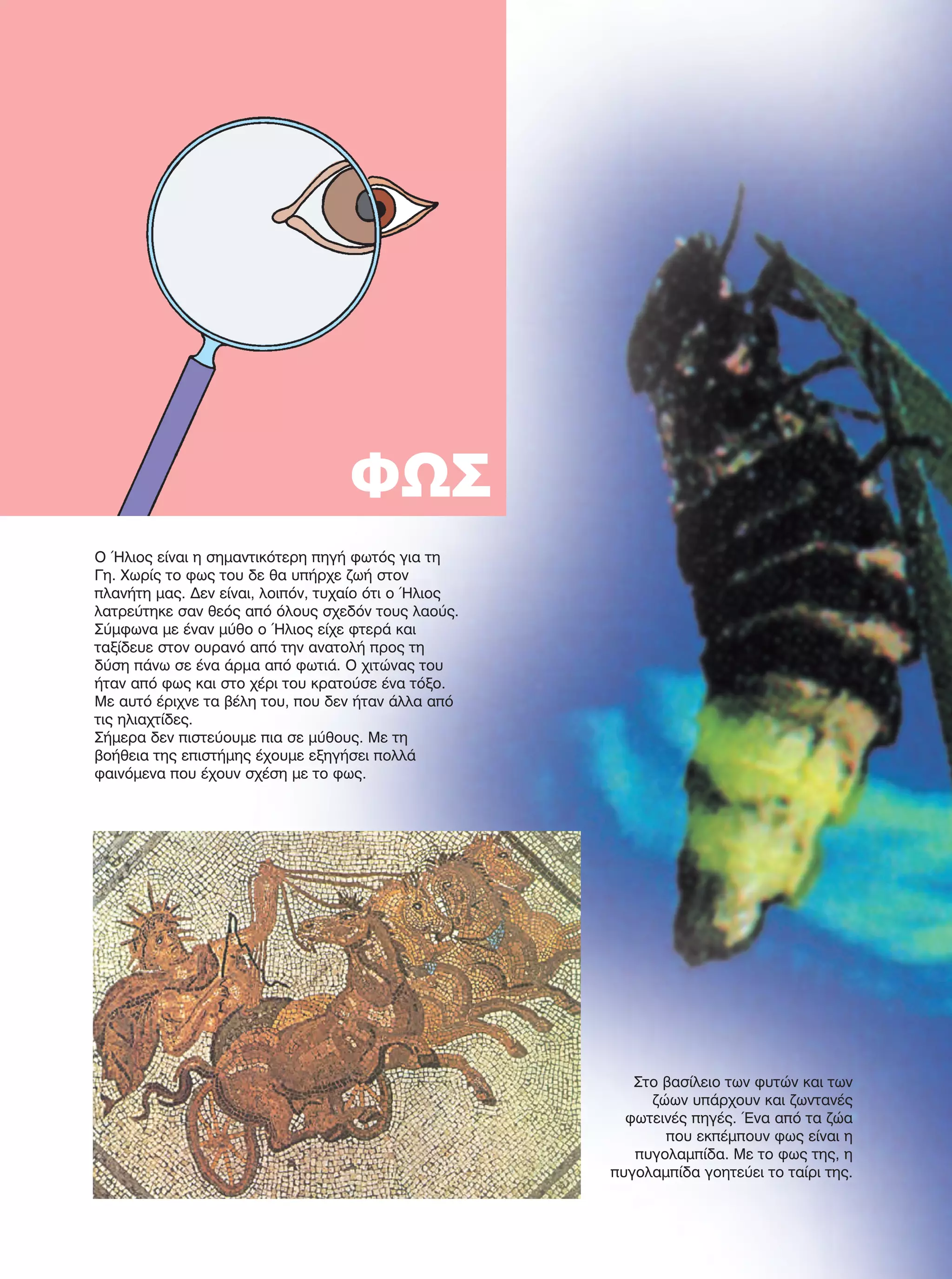 72
ΦΩΣ
Ο Ήλιος είναι η σημαντικότερη πηγή φωτός για τη
Γη. Χωρίς το φως του δε θα υπήρχε ζωή στον
πλανήτη μας. Δεν είναι, λοιπόν, τυχαίο ότι ο Ήλιος
λατρεύτηκε σαν θεός από όλους σχεδόν τους λαούς.
Σύμφωνα με έναν μύθο ο Ήλιος είχε φτερά και
ταξίδευε στον ουρανό από την ανατολή προς τη
δύση πάνω σε ένα άρμα από φωτιά. Ο χιτώνας του
ήταν από φως και στο χέρι του κρατούσε ένα τόξο.
Με αυτό έριχνε τα βέλη του, που δεν ήταν άλλα από
τις ηλιαχτίδες.
Σήμερα δεν πιστεύουμε πια σε μύθους. Με τη
βοήθεια της επιστήμης έχουμε εξηγήσει πολλά
φαινόμενα που έχουν σχέση με το φως.
Στο βασίλειο των φυτών και των
ζώων υπάρχουν και ζωντανές
φωτεινές πηγές. Ένα από τα ζώα
που εκπέμπουν φως είναι η
πυγολαμπίδα. Με το φως της, η
πυγολαμπίδα γοητεύει το ταίρι της.
FYSIKA E DIMOT MATHITI.indb 72 2/12/13 4:34 PM
 