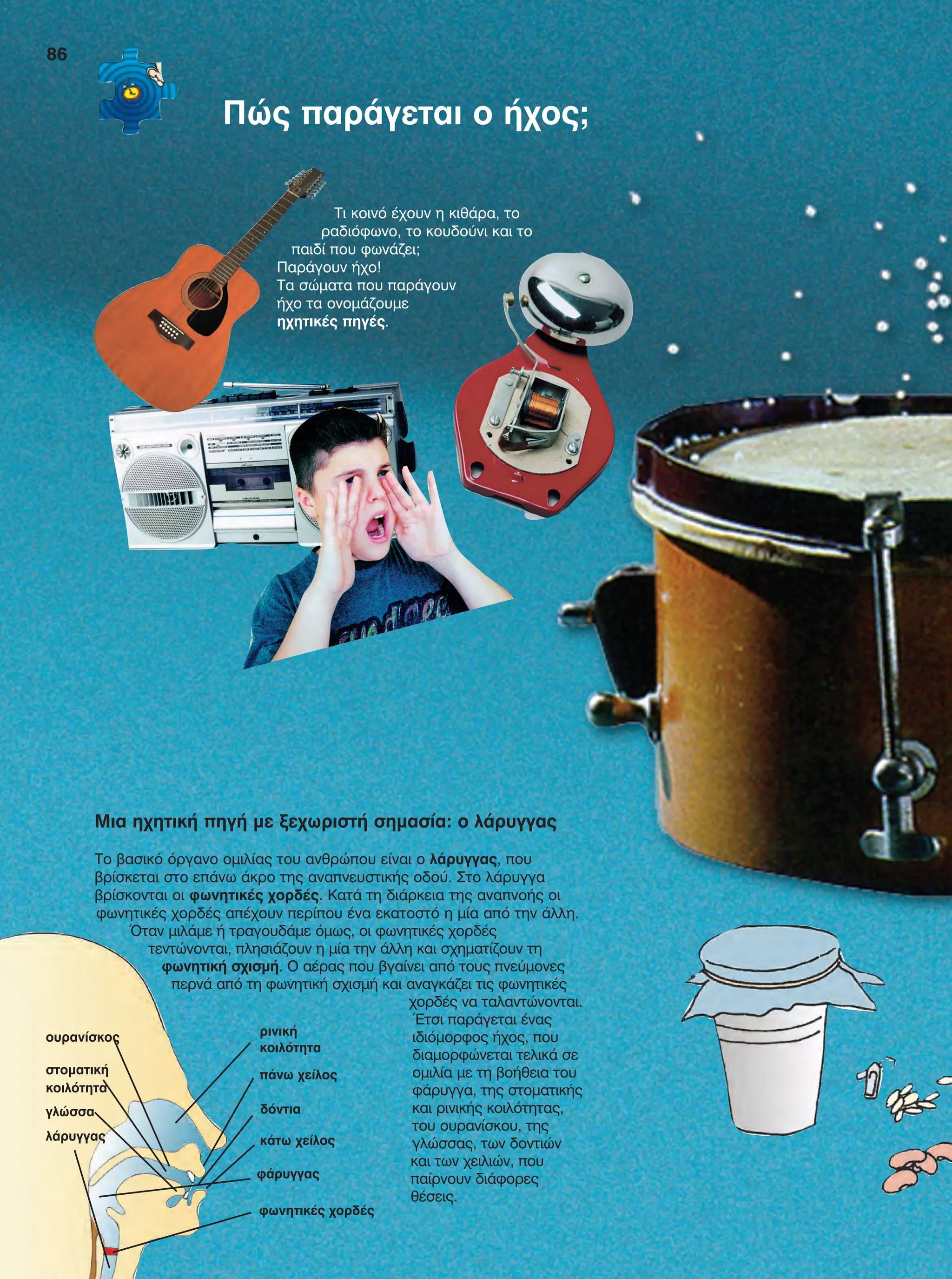 Μια ηχητική πηγή με ξεχωριστή σημασία: ο λάρυγγας
Το βασικό όργανο ομιλίας του ανθρώπου είναι ο λάρυγγας, που
βρίσκεται στο επάνω άκρο της αναπνευστικής οδού. Στο λάρυγγα
βρίσκονται οι φωνητικές χορδές. Κατά τη διάρκεια της αναπνοής οι
φωνητικές χορδές απέχουν περίπου ένα εκατοστό η μία από την άλλη.
Όταν μιλάμε ή τραγουδάμε όμως, οι φωνητικές χορδές
τεντώνονται, πλησιάζουν η μία την άλλη και σχηματίζουν τη
φωνητική σχισμή. Ο αέρας που βγαίνει από τους πνεύμονες
περνά από τη φωνητική σχισμή και αναγκάζει τις φωνητικές
χορδές να ταλαντώνονται.
Έτσι παράγεται ένας
ιδιόμορφος ήχος, που
διαμορφώνεται τελικά σε
ομιλία με τη βοήθεια του
φάρυγγα, της στοματικής
και ρινικής κοιλότητας,
του ουρανίσκου, της
γλώσσας, των δοντιών
και των χειλιών, που
παίρνουν διάφορες
θέσεις.­
Τι κοινό έχουν η κιθάρα, το
ραδιόφωνο, το κουδούνι και το
παιδί που φωνάζει;
Παράγουν ήχο!
Τα σώματα που παράγουν
ήχο τα ονομάζουμε
ηχητικές πηγές.
ρινική
κοιλότητα
φάρυγγας
φωνητικές χορδές
πάνω χείλος
κάτω χείλος
δόντια
λάρυγγας
γλώσσα
ουρανίσκος
στοματική
κοιλότητα
86
Πώς παράγεται ο ήχος;
FYSIKA E DIMOT MATHITI.indb 86 2/12/13 4:35 PM
 