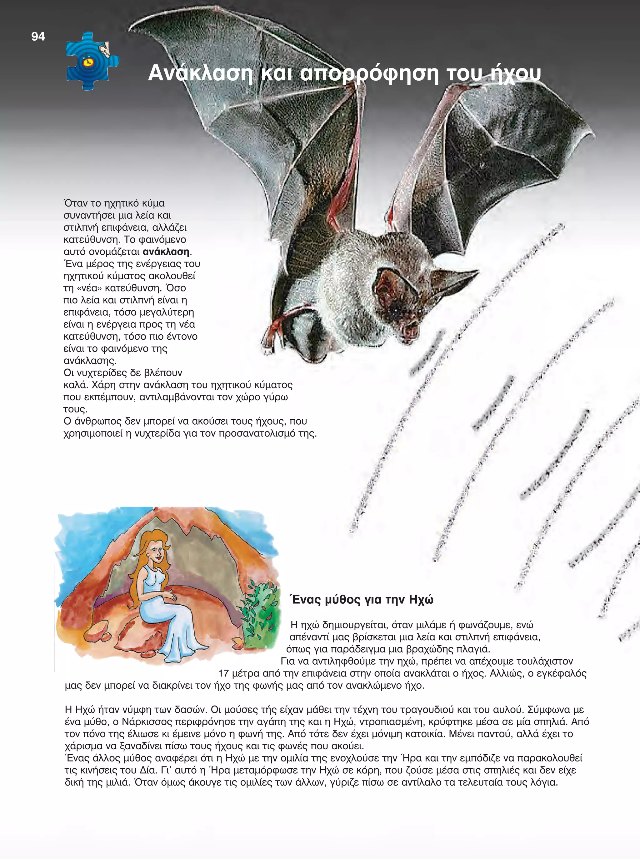 Όταν το ηχητικό κύμα
συναντήσει μια λεία και
στιλπνή επιφάνεια, αλλάζει
κατεύθυνση. Το φαινόμενο
αυτό ονομάζεται ανάκλαση.
Ένα μέρος της ενέργειας του
ηχητικού κύματος ακολουθεί
τη «νέα» κατεύθυνση. Όσο
πιο λεία και στιλπνή είναι η
επιφάνεια, τόσο μεγαλύτερη
είναι η ενέργεια προς τη νέα
κατεύθυνση, τόσο πιο έντονο
είναι το φαινόμενο της
ανάκλασης.
Οι νυχτερίδες δε βλέπουν
καλά. Χάρη στην ανάκλαση του ηχητικού κύματος
που εκπέμπουν, αντιλαμβάνονται τον χώρο γύρω
τους.
Ο άνθρωπος δεν μπορεί να ακούσει τους ήχους, που
χρησιμοποιεί η νυχτερίδα για τον προσανατολισμό της.
Ένας μύθος για την Ηχώ
Η ηχώ δημιουργείται, όταν μιλάμε ή φωνάζουμε, ενώ
απέναντί μας βρίσκεται μια λεία και στιλπνή επιφάνεια,
όπως για παράδειγμα μια βραχώδης πλαγιά.
Για να αντιληφθούμε την ηχώ, πρέπει να απέχουμε τουλάχιστον
17 μέτρα από την επιφάνεια στην οποία ανακλάται ο ήχος. Αλλιώς, ο εγκέφαλός
μας δεν μπορεί να διακρίνει τον ήχο της φωνής μας από τον ανακλώμενο ήχο.
Η Ηχώ ήταν νύμφη των δασών. Οι μούσες τής είχαν μάθει την τέχνη του τραγουδιού και του αυλού. Σύμφωνα με
ένα μύθο, ο Νάρκισσος περιφρόνησε την αγάπη της και η Ηχώ, ντροπιασμένη, κρύφτηκε μέσα σε μία σπηλιά. Από
τον πόνο της έλιωσε κι έμεινε μόνο η φωνή της. Από τότε δεν έχει μόνιμη κατοικία. Μένει παντού, αλλά έχει το
χάρισμα να ξαναδίνει πίσω τους ήχους και τις φωνές που ακούει.
Ένας άλλος μύθος αναφέρει ότι η Ηχώ με την ομιλία της ενοχλούσε την Ήρα και την εμπόδιζε να παρακολουθεί
τις κινήσεις του Δία. Γι’ αυτό η Ήρα μεταμόρφωσε την Ηχώ σε κόρη, που ζούσε μέσα στις σπηλιές και δεν είχε
δική της μιλιά. Όταν όμως άκουγε τις ομιλίες των άλλων, γύριζε πίσω σε αντίλαλο τα τελευταία τους λόγια.
Ανάκλαση και απορρόφηση του ήχου
94
FYSIKA E DIMOT MATHITI.indb 94 2/12/13 4:35 PM
 