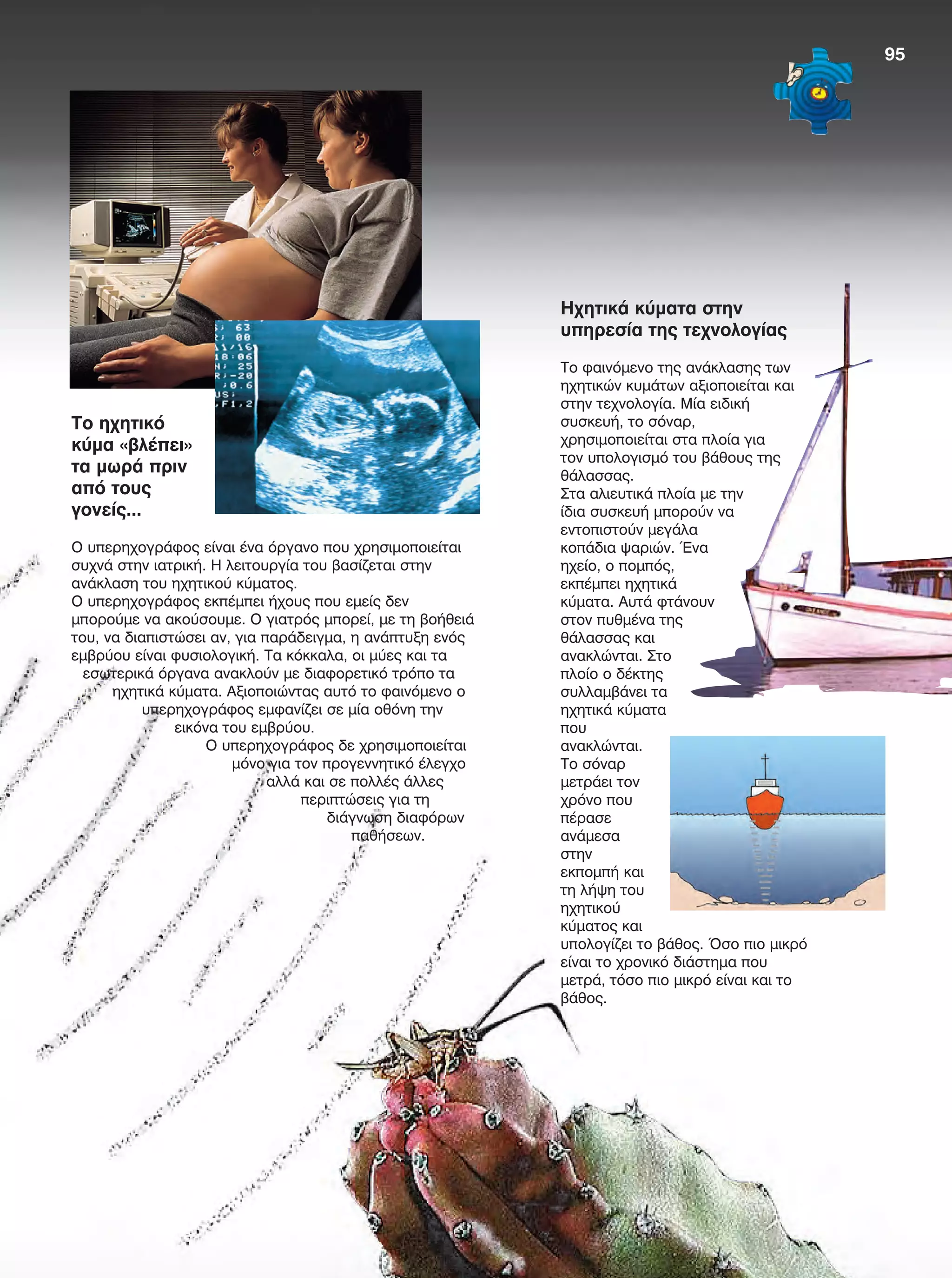 Το ηχητικό
κύμα «βλέπει»
τα μωρά πριν
από τους
γονείς...
Ο υπερηχογράφος είναι ένα όργανο που χρησιμοποιείται
συχνά στην ιατρική. Η λειτουργία του βασίζεται στην
ανάκλαση του ηχητικού κύματος.
Ο υπερηχογράφος εκπέμπει ήχους που εμείς δεν
μπορούμε να ακούσουμε. Ο γιατρός μπορεί, με τη βοήθειά
του, να διαπιστώσει αν, για παράδειγμα, η ανάπτυξη ενός
εμβρύου είναι φυσιολογική. Τα κόκκαλα, οι μύες και τα
εσωτερικά όργανα ανακλούν με διαφορετικό τρόπο τα
ηχητικά κύματα. Αξιοποιώντας αυτό το φαινόμενο ο
υπερηχογράφος εμφανίζει σε μία οθόνη την
εικόνα του εμβρύου.
Ο υπερηχογράφος δε χρησιμοποιείται
μόνο για τον προγεννητικό έλεγχο
αλλά και σε πολλές άλλες
περιπτώσεις για τη
διάγνωση διαφόρων
παθήσεων.
Ηχητικά κύματα στην
υπηρεσία της τεχνολογίας
Το φαινόμενο της ανάκλασης των
ηχητικών κυμάτων αξιοποιείται και
στην τεχνολογία. Μία ειδική
συσκευή, το σόναρ,
χρησιμοποιείται στα πλοία για
τον υπολογισμό του βάθους της
θάλασσας.
Στα αλιευτικά πλοία με την
ίδια συσκευή μπορούν να
εντοπιστούν μεγάλα
κοπάδια ψαριών. Ένα
ηχείο, ο πομπός,
εκπέμπει ηχητικά
κύματα. Αυτά φτάνουν
στον πυθμένα της
θάλασσας και
ανακλώνται. Στο
πλοίο ο δέκτης
συλλαμβάνει τα
ηχητικά κύματα
που
ανακλώνται.
Το σόναρ
μετράει τον
χρόνο που
πέρασε
ανάμεσα
στην
εκπομπή και
τη λήψη του
ηχητικού
κύματος και
υπολογίζει το βάθος. Όσο πιο μικρό
είναι το χρονικό διάστημα που
μετρά, τόσο πιο μικρό είναι και το
βάθος.
95
FYSIKA E DIMOT MATHITI.indb 95 2/12/13 4:35 PM
 