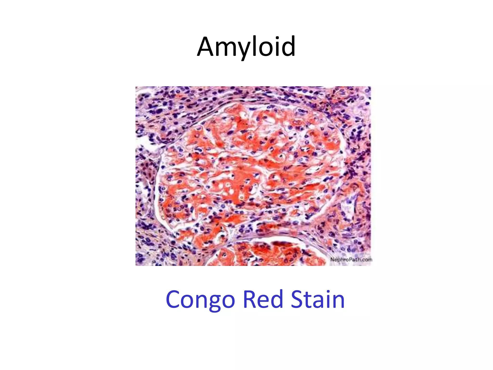 Polarizing Light Microscopy | PPTX