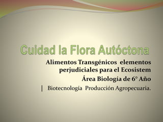 Alimentos Transgénicos elementos
perjudiciales para el Ecosistem
Área Biología de 6° Año
| Biotecnología Producción Agropecuaria.
 