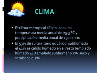  El clima es tropical cálido, con una
temperatura media anual de 25.3 °C y
precipitación media anual de 1500 mm.
El 53% de su territorio es cálido subhúmedo
el 41% es cálido húmedo en el resto templado
húmedo 4%templado subhumano 1% seco y
semiseco 0.5%.