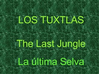 LOS TUXTLAS The Last Jungle La última Selva 