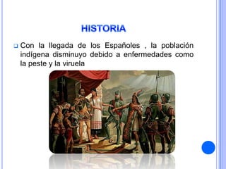    Con la llegada de los Españoles , la población
    indígena disminuyo debido a enfermedades como
    la peste y la viruela
 