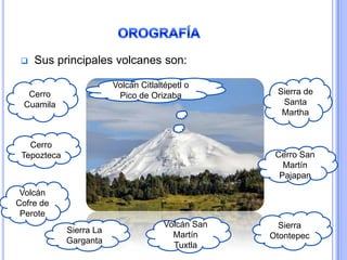    Sus principales volcanes son:

                         Volcán Citlaltépetl o
  Cerro                   Pico de Orizaba            Sierra de
 Cuamila                                              Santa
                                                      Martha


   Cerro
 Tepozteca                                           Cerro San
                                                       Martín
                                                      Pajapan
 Volcán
Cofre de
 Perote
                                       Volcán San     Sierra
             Sierra La
                                         Martín     Otontepec
             Garganta
                                         Tuxtla
 