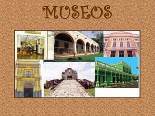 MUSEOS
 