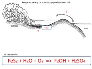 S
Fe
FeS2 + H2O + O2 => F2OH + H2SO4
Laut
Pengaruh pasang surut terhadap pembentukan pirit
########################
FeS2
Jika teroksidasi
Gambut
 