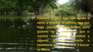 Pidamos a Dios que nos ayude a
verlo, a retomar el camino, que nos
haga personas que brillan para
quienes no le conocen y que si
nuestra vida tiene obscuridad y
ceguera que nos enseñe a
escucharle para nosotros ir a buscar
su rostro.
 