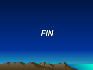 FIN 