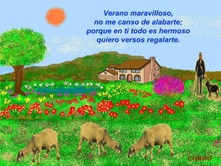 Verano maravilloso,
no me canso de alabarte;
porque en ti todo es hermoso
quiero versos regalarte.
 