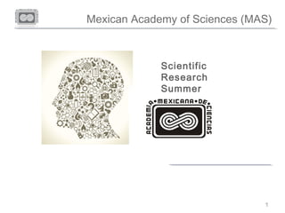 Mexican Academy of Sciences (MAS)
11
Scientific
Research
Summer
 