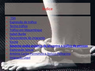 Índice

•    TSH
•   Expressão de tráfico
•   Termo tráfico
•   Tráfico em Moçambique
•   Isabel Burke
•   Descendente de imigrante
•   Escola
•   Governo avalia projetos de lei contra o tráfico de pessoas
•   Exploração Sexual
•   António Carlos Pannunzio e Nelson Pellegrino
•   Imigração Legal

                         Tráfico Humano-vera santos              2
 