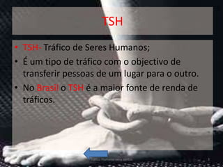 TSH
• TSH- Tráfico de Seres Humanos;
• É um tipo de tráfico com o objectivo de
  transferir pessoas de um lugar para o outro.
• No Brasil o TSH é a maior fonte de renda de
  tráficos.




                  Tráfico Humano-vera santos     3
 