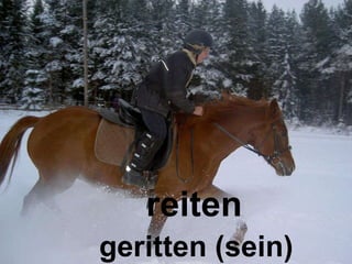 reiten geritten (sein) 