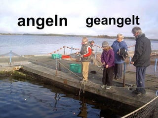 angeln geangelt 