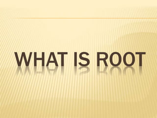 WHAT IS ROOT
 