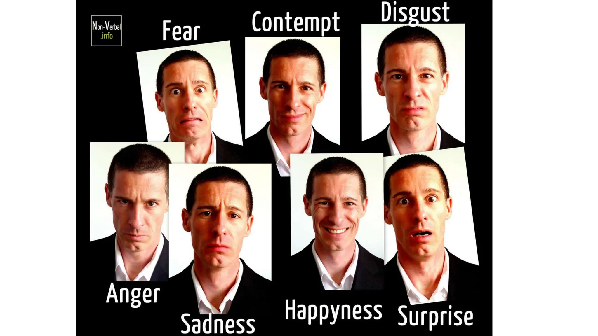WHAT IS NON VERBAL COMMUNICATION DEFINITION visual data 2