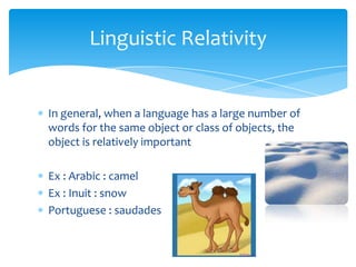 Linguistic Relativity

In general, when a language has a large number of
words for the same object or class of objects, the
object is relatively important
Ex : Arabic : camel
Ex : Inuit : snow
Portuguese : saudades

 