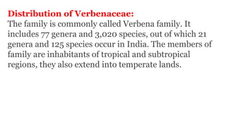 Distribution of Verbenaceae:
The family is commonly called Verbena family. It
includes 77 genera and 3,020 species, out of which 21
genera and 125 species occur in India. The members of
family are inhabitants of tropical and subtropical
regions, they also extend into temperate lands.
 