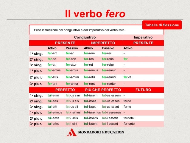 Elenco Verbi Latini Prima Coniugazione