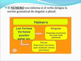 El NÚMERO nos informa si el verbo designa la
 noción gramatical de singular o plural.
 